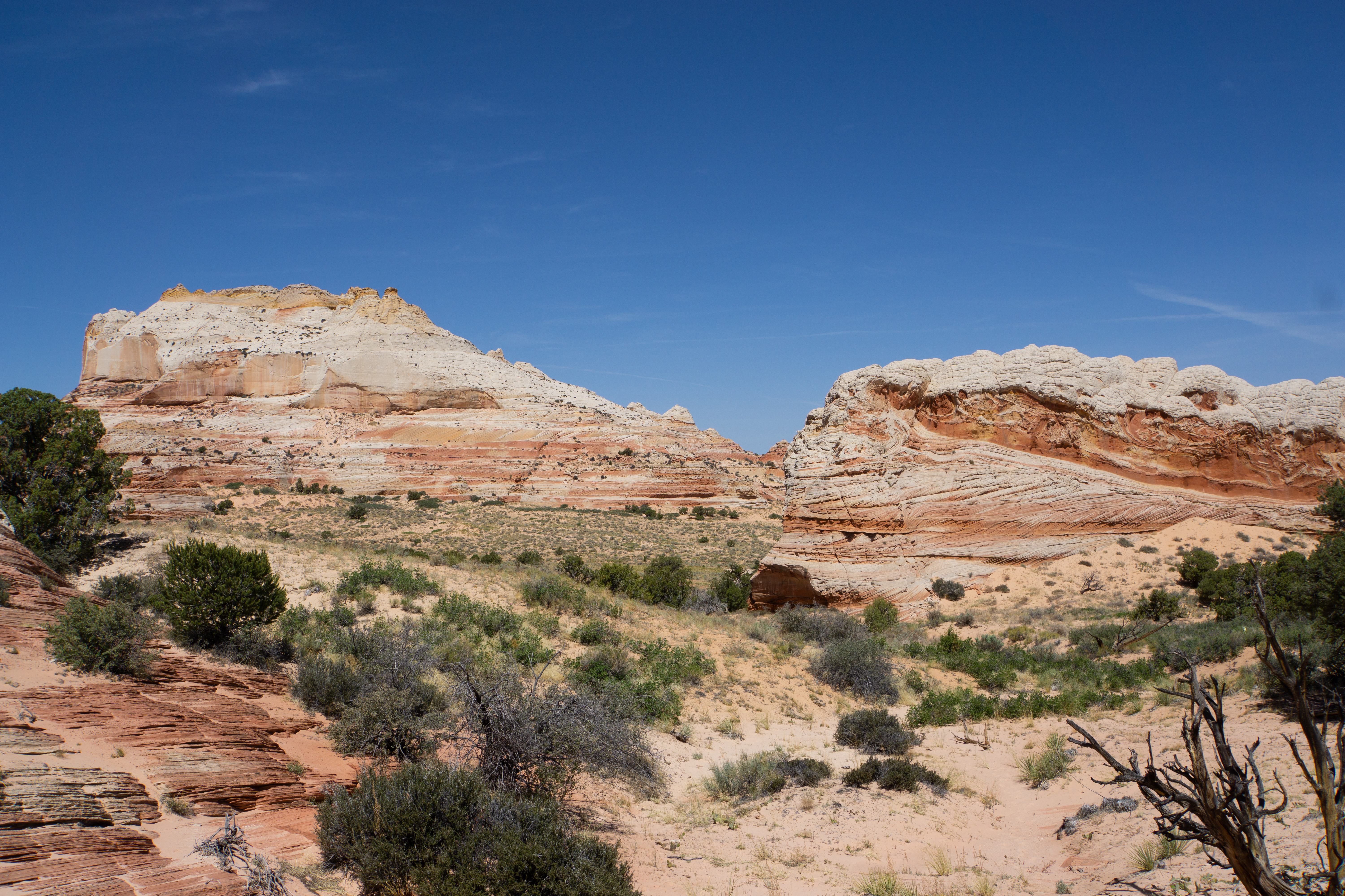 US National Parks 2022 26